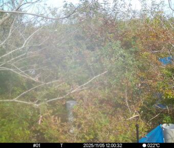 Nov 5 2025 12:00:32, #01