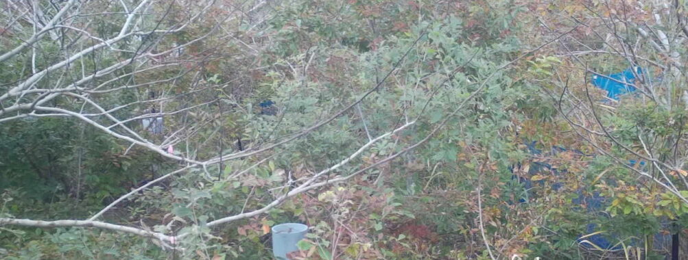 Nov 5 2025 15:00:31, #01