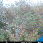 Nov 5 2025 15:00:31, #01