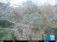 Nov 5 2025 15:00:31, #01