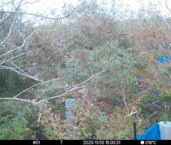 Nov 5 2025 15:00:31, #01