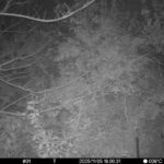 Nov 5 2025 18:00:30, #01