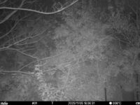 Nov 5 2025 18:00:30, #01