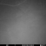 Nov 5 2025 21:00:32, #01