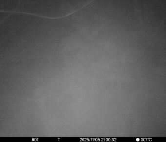 Nov 5 2025 21:00:32, #01