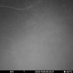 Nov 6 2025 0:00:31, #01