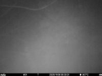 Nov 6 2025  0:00:31, #01