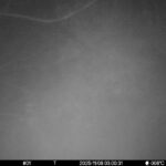 Nov 6 2025 3:00:30, #01