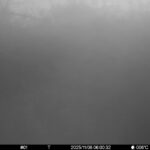 Nov 6 2025 6:00:32, #01