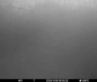 Nov 6 2025  6:00:32, #01