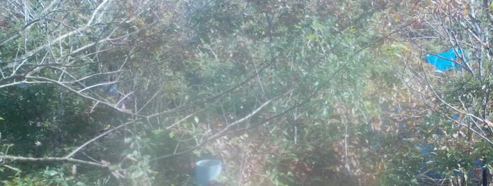 Nov 6 2025  9:00:31, #01