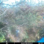 Nov 6 2025 9:00:31, #01