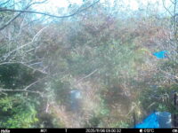 Nov 6 2025  9:00:31, #01