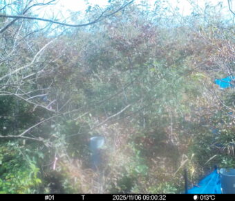 Nov 6 2025  9:00:31, #01