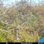 Nov 6 2025 12:00:32, #01