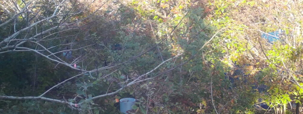 Nov 6 2025 15:00:31, #01