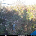 Nov 6 2025 15:00:31, #01