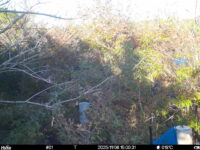 Nov 6 2025 15:00:31, #01