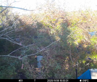 Nov 6 2025 15:00:31, #01