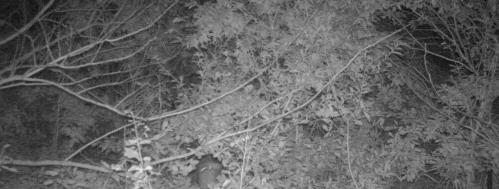 Nov 6 2025 18:00:30, #01