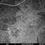 Nov 6 2025 18:00:30, #01