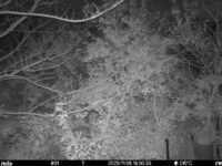 Nov 6 2025 18:00:30, #01