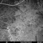 Nov 6 2025 21:00:32, #01