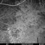 Nov 7 2025 0:00:31, #01