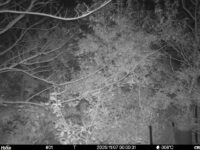 Nov 7 2025  0:00:31, #01