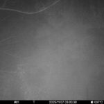 Nov 7 2025 3:00:30, #01