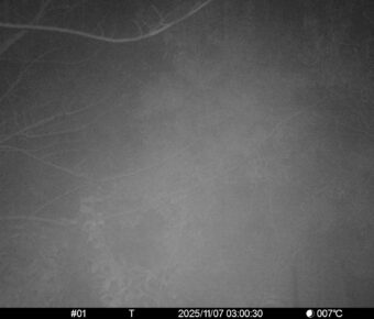 Nov 7 2025  3:00:30, #01