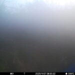 Nov 7 2025 6:00:32, #01