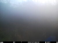 Nov 7 2025  6:00:32, #01