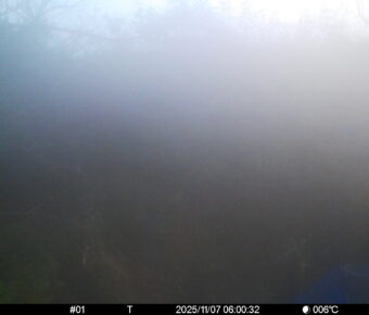 Nov 7 2025  6:00:32, #01