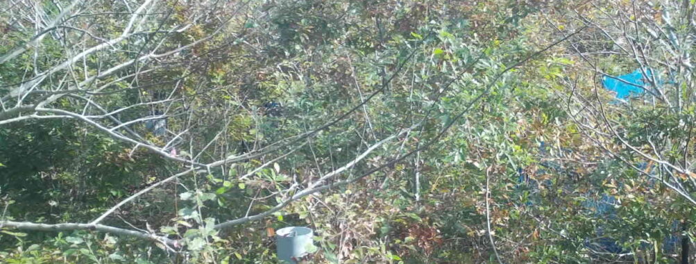 Nov 7 2025  9:00:31, #01