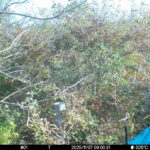 Nov 7 2025 9:00:31, #01