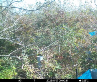 Nov 7 2025  9:00:31, #01