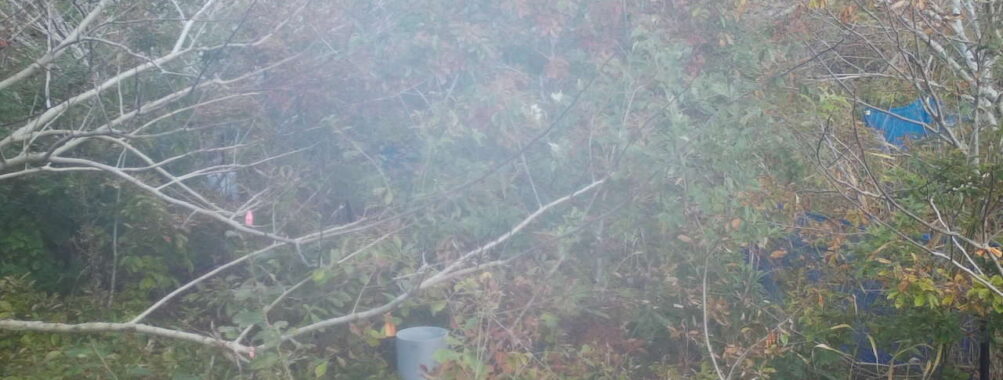 Nov 7 2025 12:00:32, #01