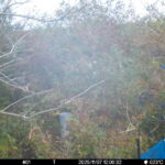 Nov 7 2025 12:00:32, #01