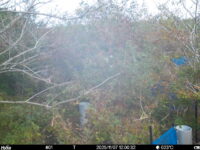 Nov 7 2025 12:00:32, #01