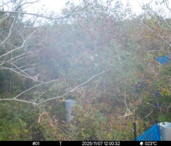 Nov 7 2025 12:00:32, #01