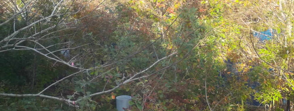 Nov 7 2025 15:00:31, #01