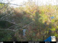 Nov 7 2025 15:00:31, #01