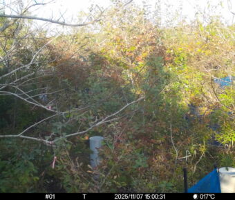 Nov 7 2025 15:00:31, #01