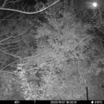 Nov 7 2025 18:00:31, #01