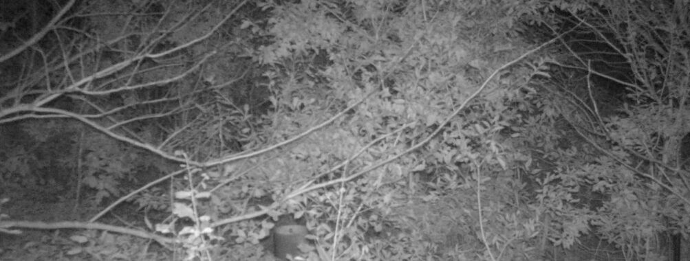 Nov 7 2025 21:00:32, #01