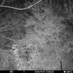 Nov 7 2025 21:00:32, #01