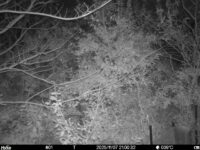 Nov 7 2025 21:00:32, #01