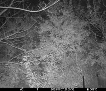 Nov 7 2025 21:00:32, #01