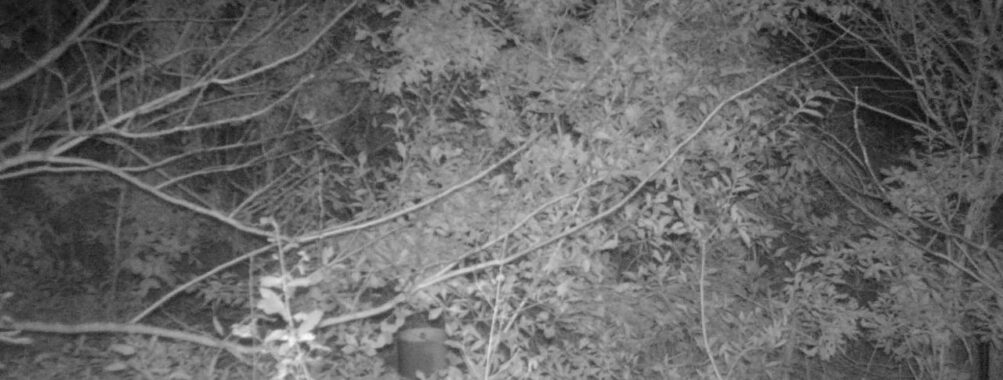 Nov 8 2025  0:00:31, #01